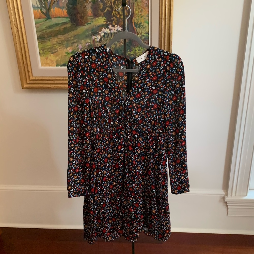 Floral A.L.C. Mini Dress